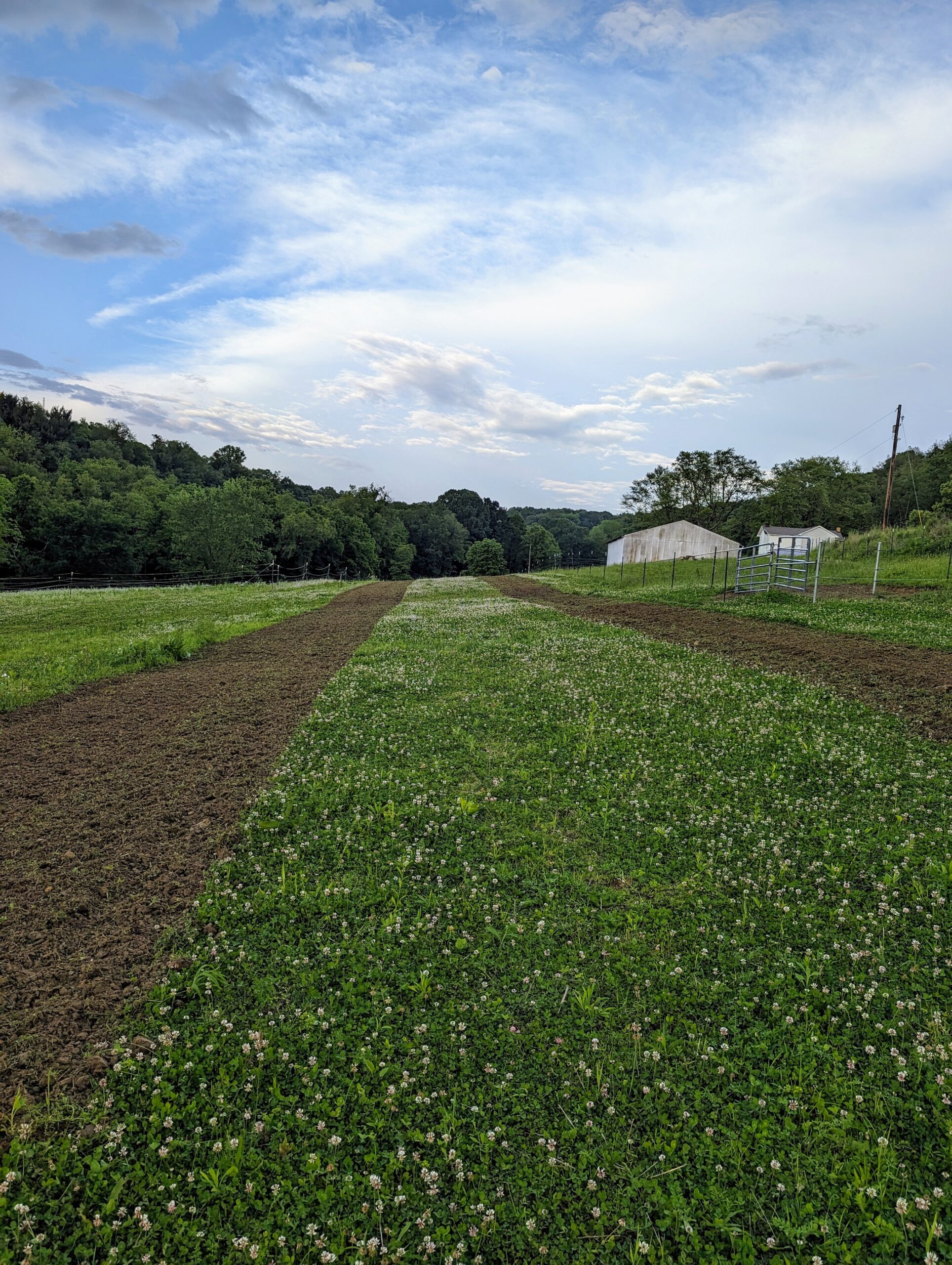 Stella Manor: A Journey Through 2024’s Regenerative Farming Season