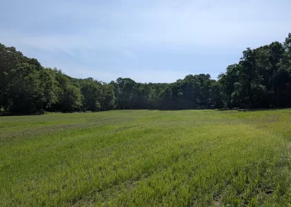 Regenerative Pasture Establishment at Stella Manor with Cody Deluisio