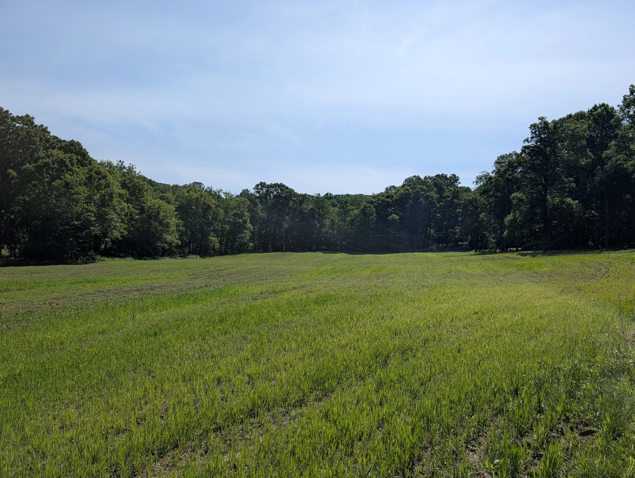Regenerative Pasture Establishment at Stella Manor with Cody Deluisio